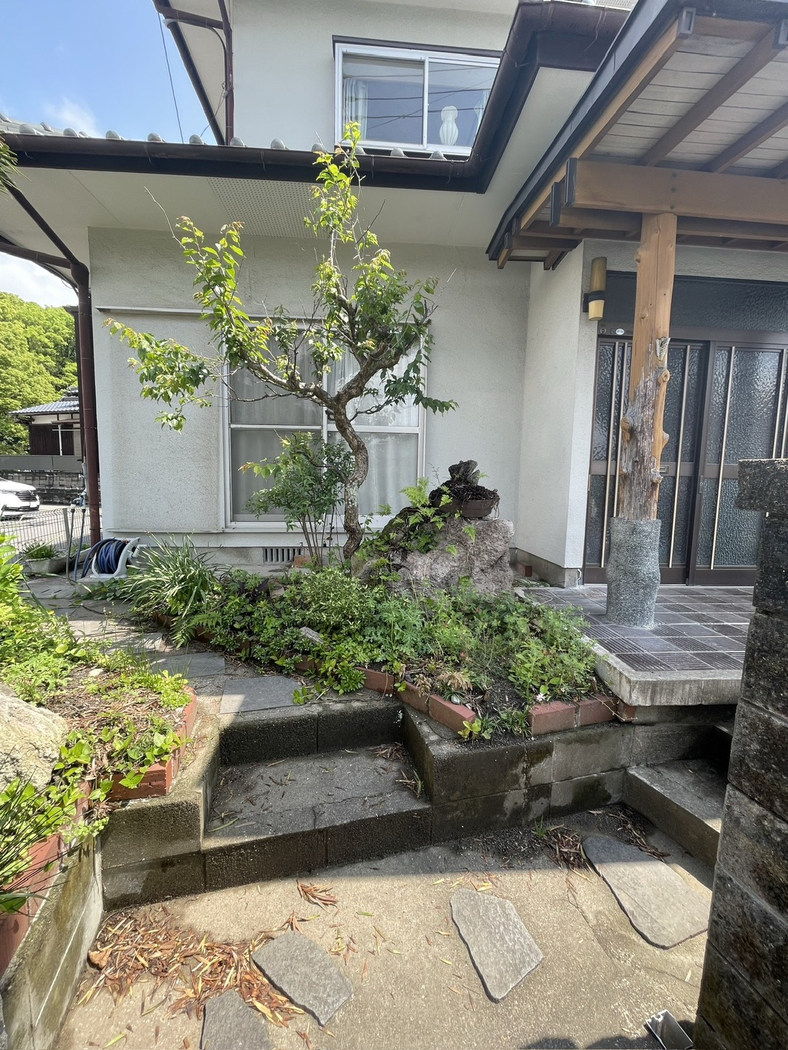 施工前の玄関アプローチと植栽