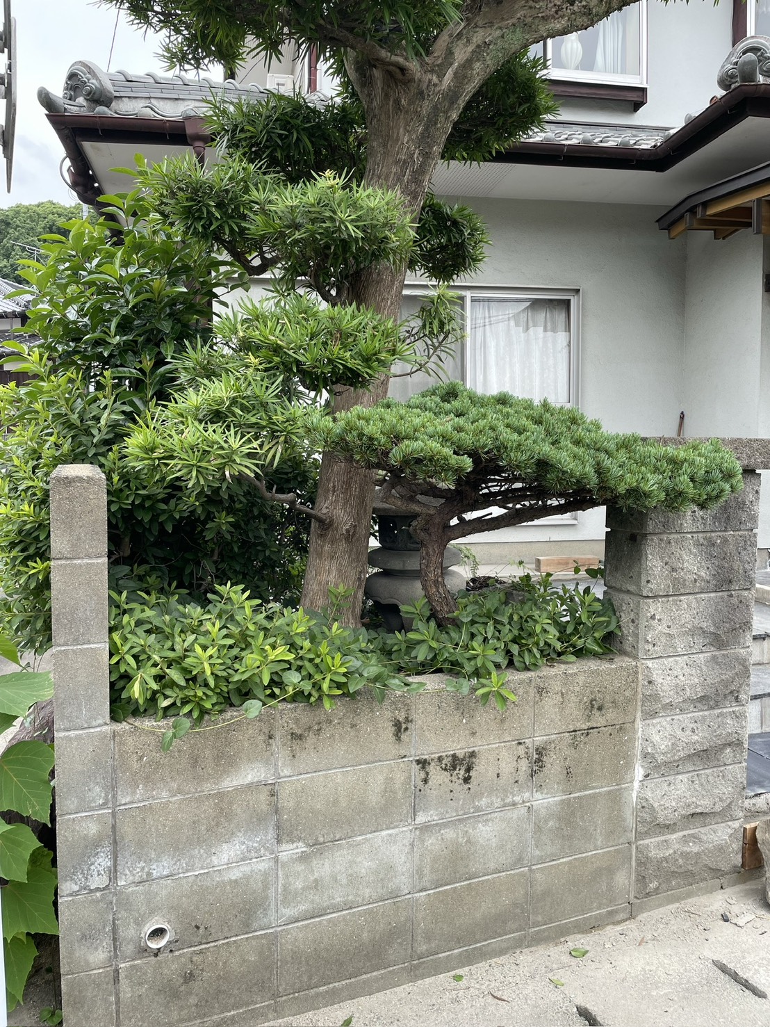 施工前のブロック塀と植栽